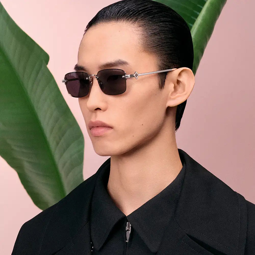 Dior Men's Sunglasses