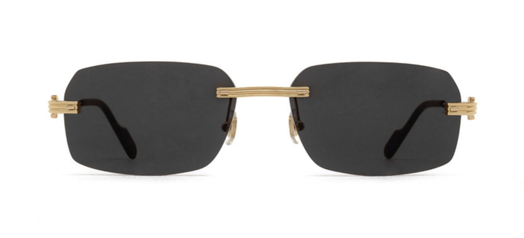 Lunettes CARTIER CT0271S-001 main image 1