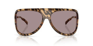 Miu Miu 0mu A01s Women Havana  Sunglasses