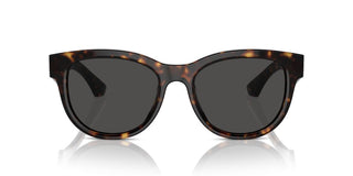 Burberry Be 4432u Women Havana Pantos Sunglasses