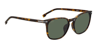 Boss Boss 1668/f/sk Men Havana Pantos Sunglasses