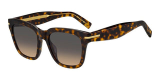 Boss Boss 1778/g/s Women Havana Squared Sunglasses