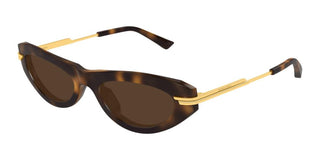 Bottega Veneta BV1368S women Havana Round Sunglasses
