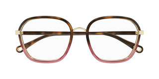 Chloé CH0309O women Havana Squared Eyeglasses