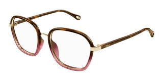 Chloé CH0309O women Havana Squared Eyeglasses