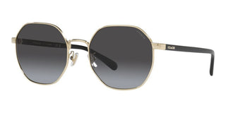 Coach CH 556 HC 7147 women Gold Geometric Sunglasses