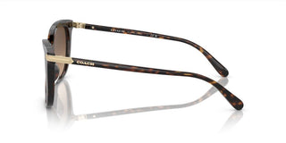 Coach CI926 HC 8378U women Brown Cat Eye Sunglasses