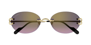 Cartier CT0551S unisex Gold Round Sunglasses