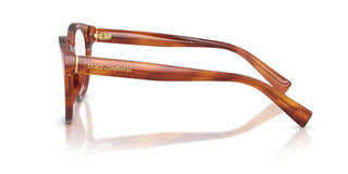 Dolce & Gabbana DG 3421 men Havana Pantos Eyeglasses
