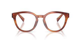 Dolce & Gabbana DG 3421 men Havana Pantos Eyeglasses