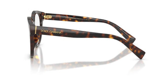 Dolce & Gabbana DG 3421 men Havana Pantos Eyeglasses