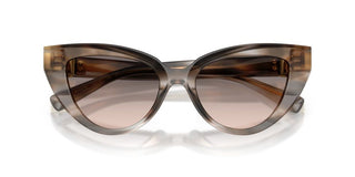 Dolce & Gabbana Dg 4497 Women  Cat Eye Sunglasses
