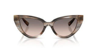Dolce & Gabbana Dg 4497 Women  Cat Eye Sunglasses