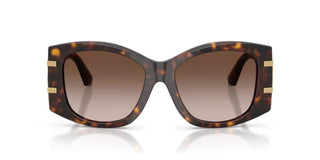 Dolce & Gabbana DG 4501 women Havana Oversize Sunglasses