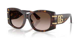 Dolce & Gabbana DG 4501 women Havana Oversize Sunglasses