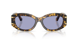 Dolce & Gabbana Dg 4502 Women Havana Oval Sunglasses