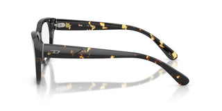 Diesel DL 4001F unisex Havana Pantos Eyeglasses