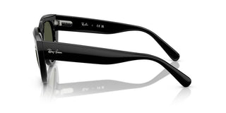 Ray-ban Doreen Rb 2286 Women Black Cat Eye Sunglasses