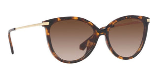Michael Kors DUPONT MK 2184U women Brown Cat Eye Sunglasses