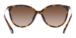 Michael Kors DUPONT MK 2184U women Brown Cat Eye Sunglasses