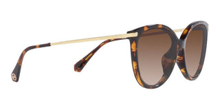 Michael Kors DUPONT MK 2184U women Brown Cat Eye Sunglasses
