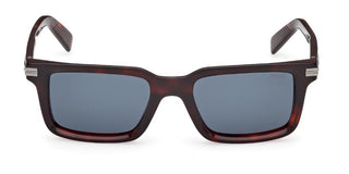 Ermenegildo Zegna EZ0249 unisex Havana Sunglasses