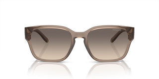 Arnette HAMIE AN 4325 men Brown Squared Sunglasses
