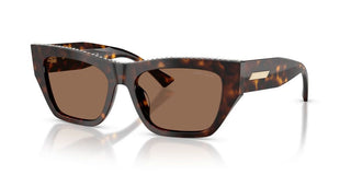 Jimmy Choo Jc 5035b Women Havana Cat Eye Sunglasses