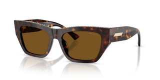 Jimmy Choo Jc 5035b Women Havana Cat Eye Sunglasses