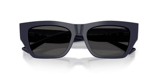 Jimmy Choo Jc 5035b Women Blue Cat Eye Sunglasses