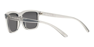 Arnette LEBOWL AN 4321 men Grey Squared Sunglasses