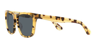Oliver Peoples LYNES SUN OV 5449SU men Havana Squared Sunglasses