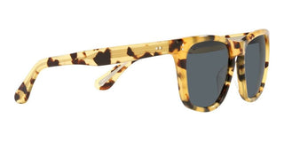Oliver Peoples LYNES SUN OV 5449SU men Havana Squared Sunglasses