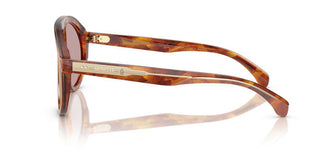 Moncler Me6001 Unisex Havana Shield Sunglasses