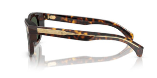 Moncler Me6004 Unisex Havana Squared Sunglasses