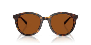 Michael Kors MK 2227 BIG BEND men Havana Squared Sunglasses