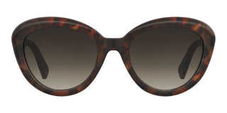 Moschino Mos179/s Women Havana Cat Eye Sunglasses