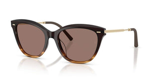 Oliver Peoples MRS. FEDERER OV 5597SU women Havana Cat Eye Sunglasses