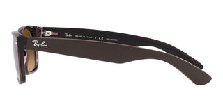 Ray-Ban NEW WAYFARER RB 2132 unisex Brown Squared Sunglasses