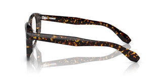 Oliver Peoples N.05 Ov 5547u Unisex Havana Pantos Eyeglasses
