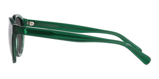 Polo Ralph Lauren PH 4192 men Green Round Sunglasses