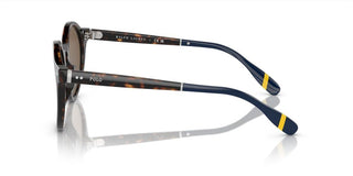 Polo Ralph Lauren PH 4204U men Havana Round Sunglasses