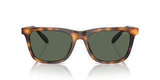 Polo Ralph Lauren Ph 4205u Men Havana Squared Sunglasses