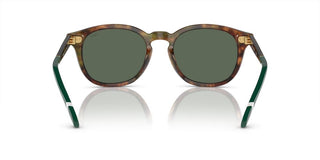 Polo Ralph Lauren PH 4206 men Havana Pantos Sunglasses