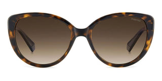 Polaroid PLD 4176/S/X women Havana Cat Eye Sunglasses