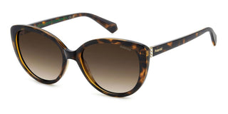 Polaroid PLD 4176/S/X women Havana Cat Eye Sunglasses
