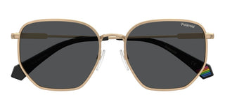 Polaroid Pld 6214/s/xn Unisex Gold Geometric Sunglasses