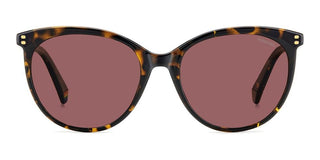 Polaroid Pld 6231/s Women Havana Cat Eye Sunglasses