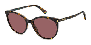 Polaroid Pld 6231/s Women Havana Cat Eye Sunglasses