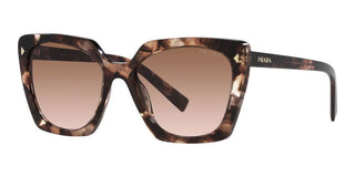 Prada PR 23ZS women Havana Squared Sunglasses